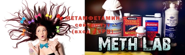 шишки Анива