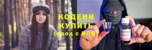 шишки Анива