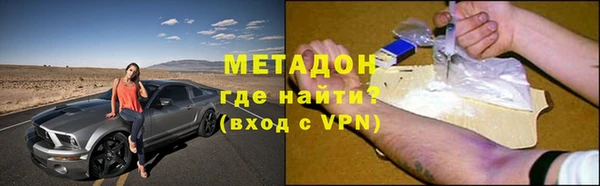 шишки Анива