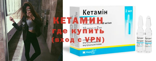 шишки Анива