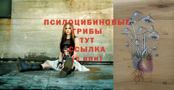 стаф Магадан