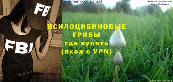 шишки Анива