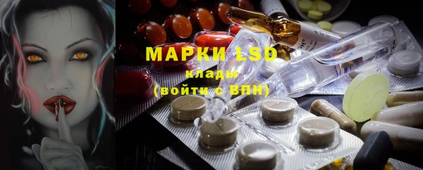 стаф Магадан