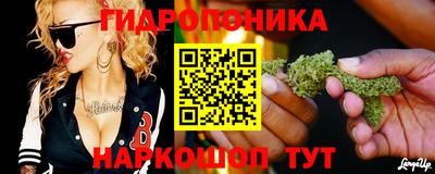 ECSTASY Обь